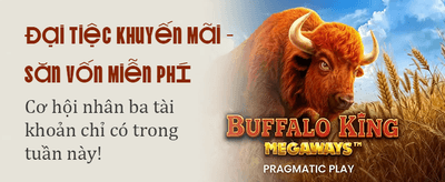 Khuyến Mãi VIP Đẳng Cấp banner